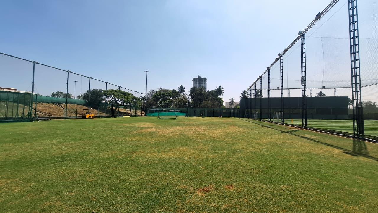 Ground — morning light