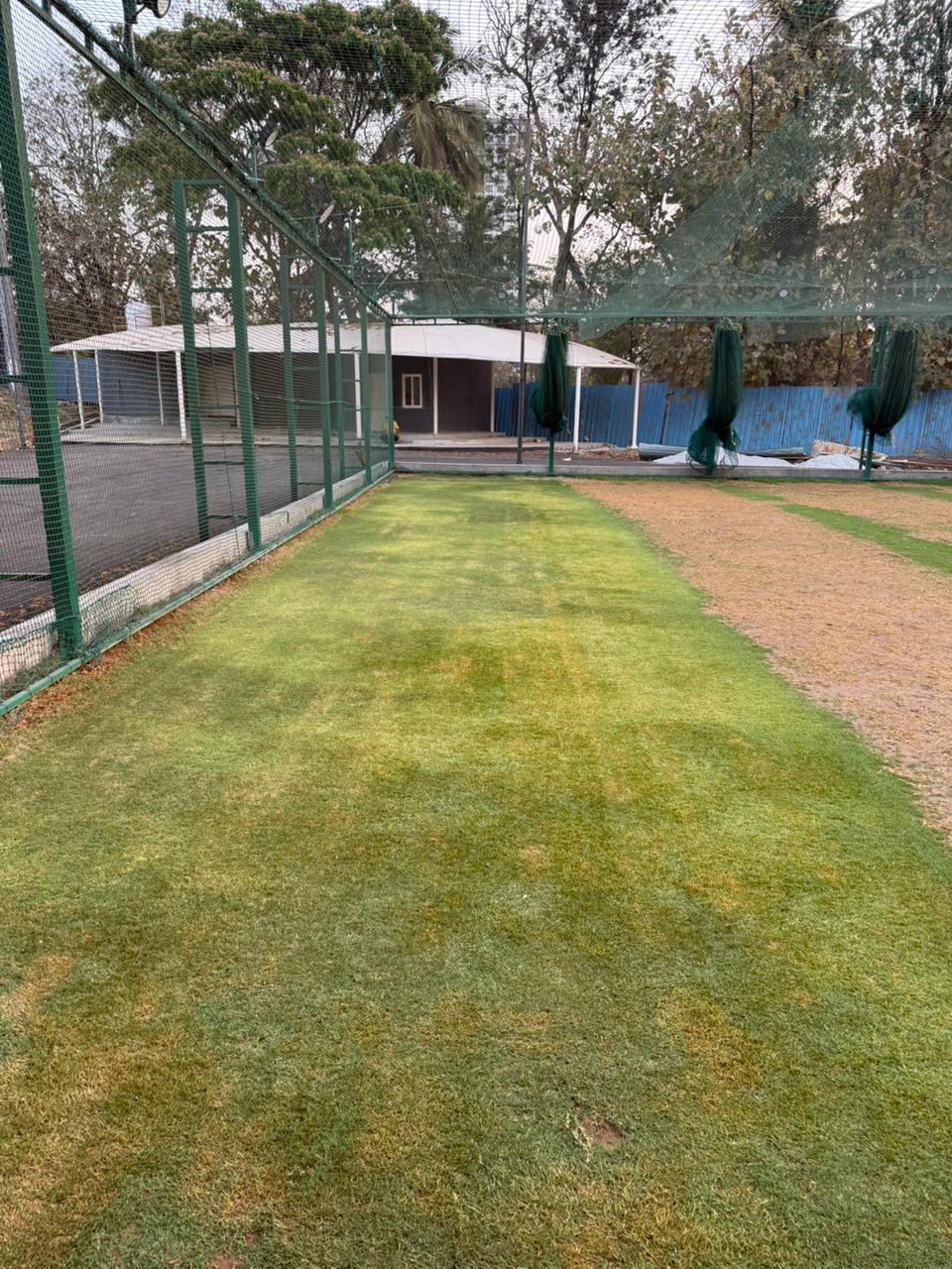 Outdoor net lane — turf surface